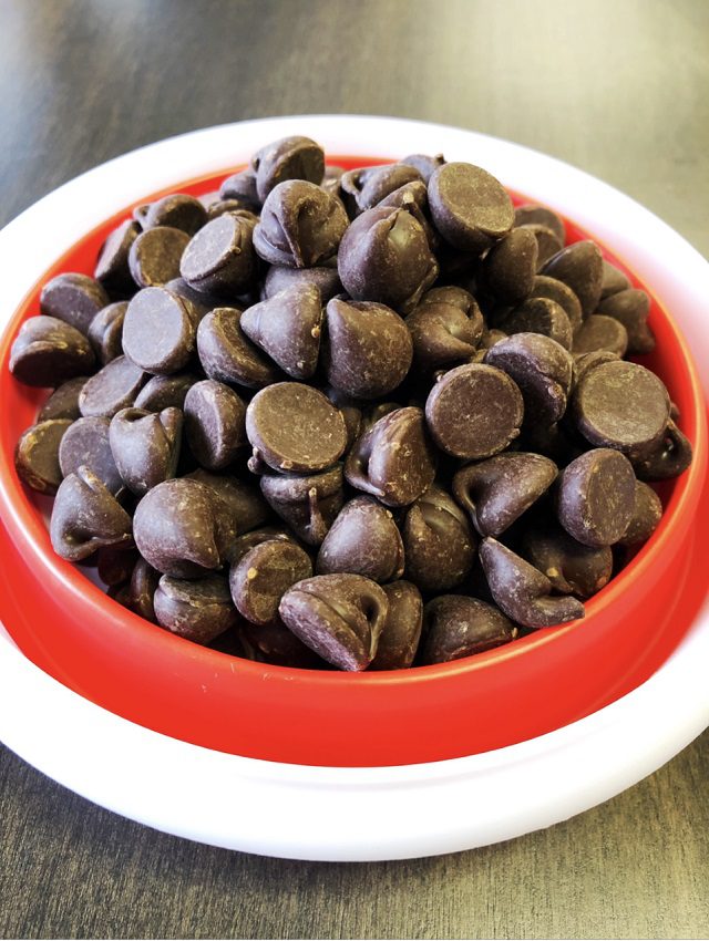 National Chocolate Chip Day... - chipsbowl c