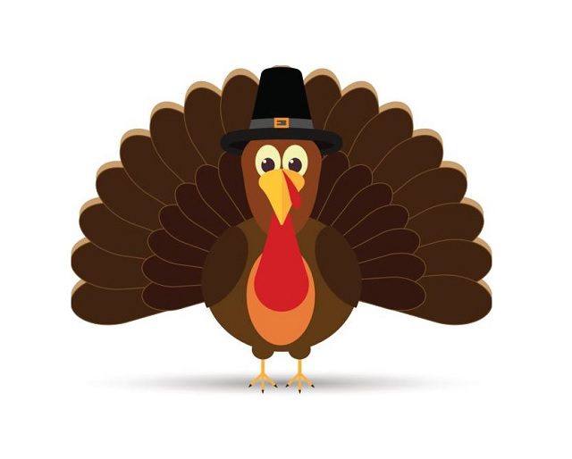Thanksgiving Holiday... - turkey